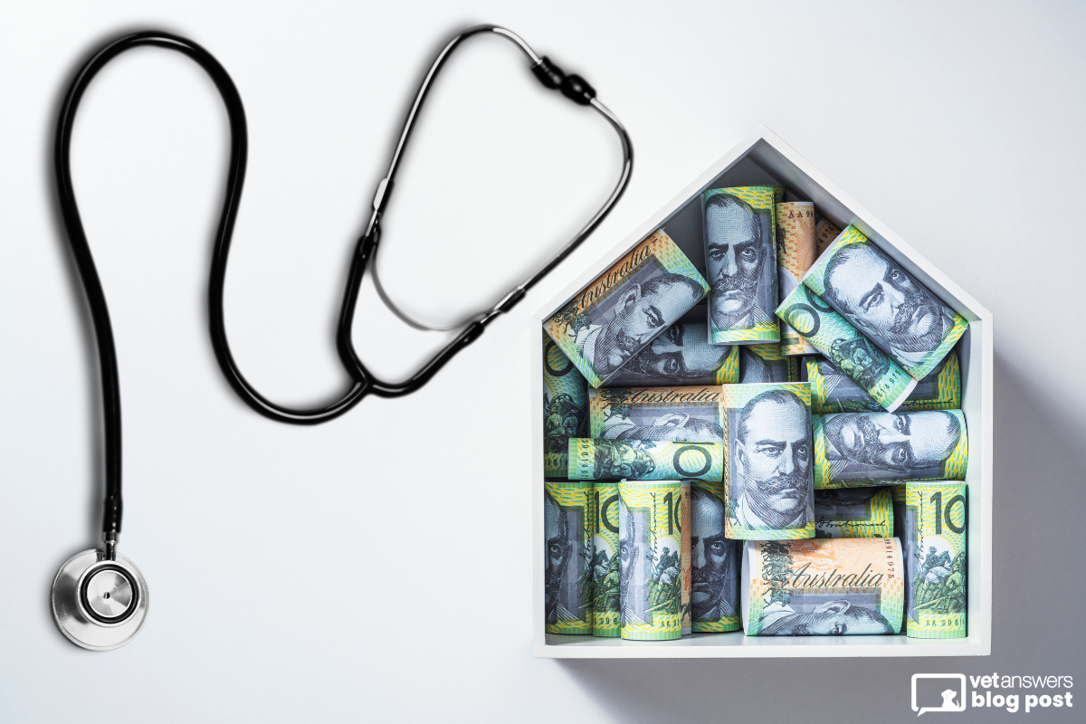 1 (Veterinary) thing to think about Is practice ownership the only way to make money as a vet